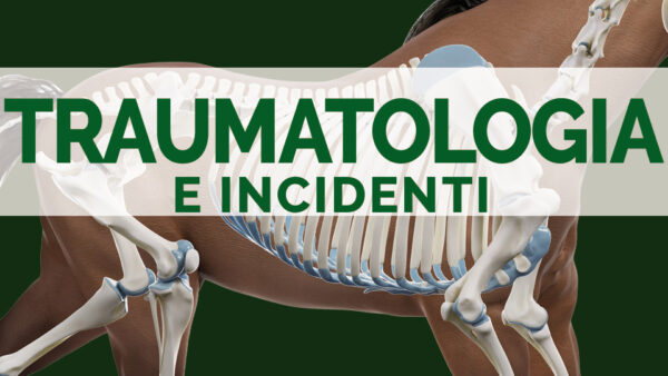 Traumatologia e incidenti