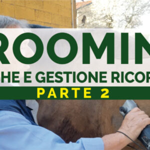 Grooming - Tecniche e gestione ricorrente